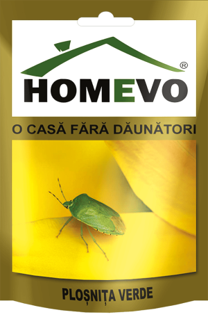 HOMEVO PLOȘNIȚĂ VERDE