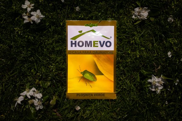 HOMEVO PLOȘNIȚĂ VERDE - imagine 2