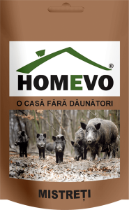 HOMEVO MISTREȚI