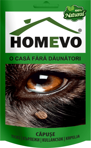 HOMEVO CĂPUȘE
